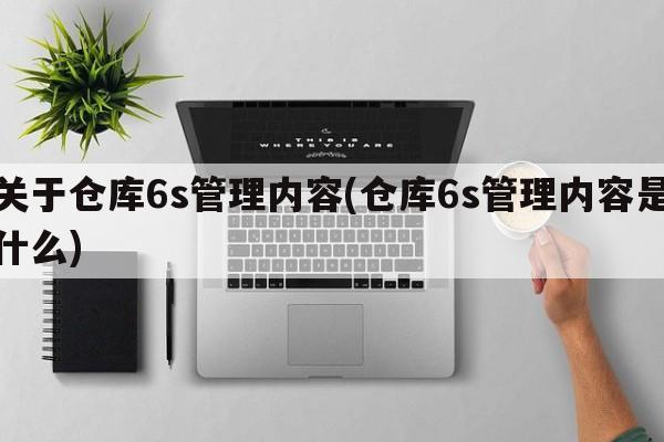 关于仓库6s管理内容(仓库6s管理内容是什么)